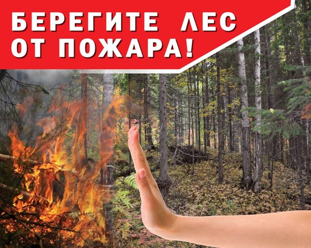 ПБ в лесу
